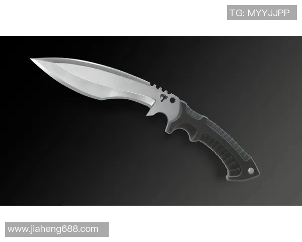 从零基础到高手CSGO灵活性全面提升攻略与技巧分享 从零基础到高手CSGO灵活性全面提升攻略与技巧分享