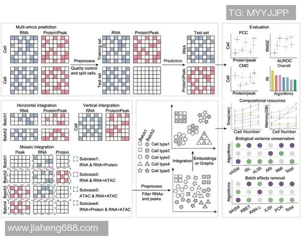 独家解析WE团队协作与S15LOL战队表现的深度对比分析